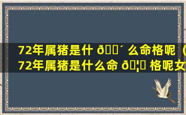 72年属猪是什 🌴 么命格呢（72年属猪是什么命 🦅 格呢女性）